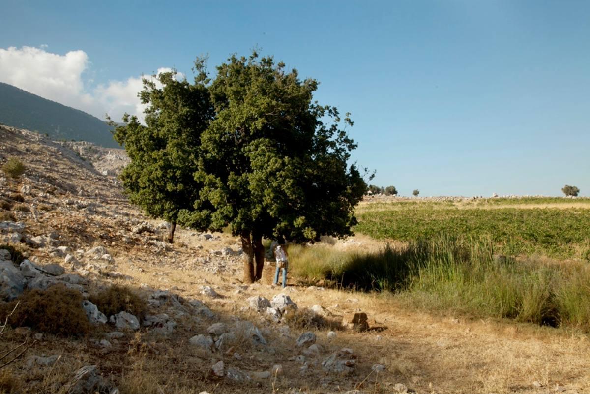 Lebanon's Enduring Legacy